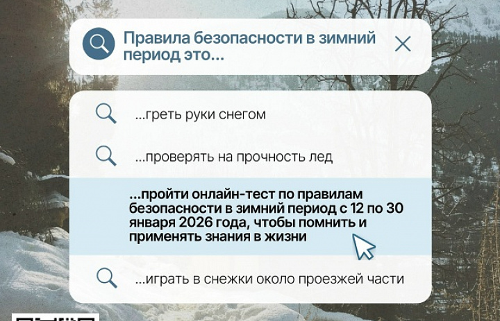Старт зимнего онлайн-тестирования!